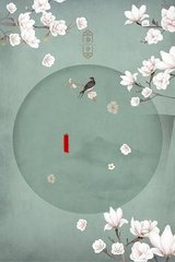 老中医spa全集